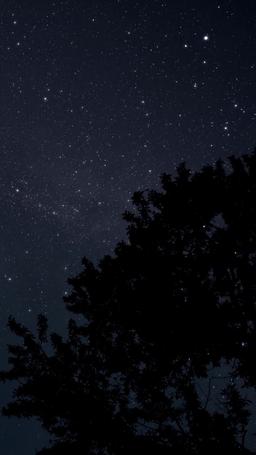 Proteger su cuerpo, reclamar su corazón episode 41