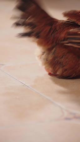 (พากย์) ลูกของคุณเป็นเด็กน้อยมหัศจรรย์ episode 39