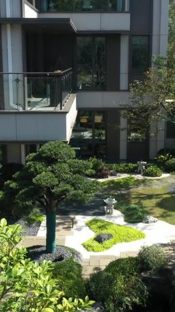 偽りの花嫁～ワルすぎる夫が私に溺れるまで～ episode 6