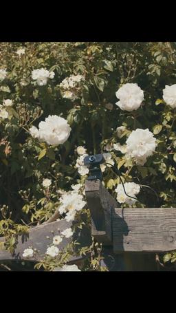 Dirty Games episode 34