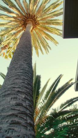 Ho scambiato il mio corpo con quello del mio nemico episode 50