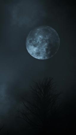 Il re alfa e la sua sposa vergine episode 64