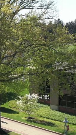 イケメンプレイボーイ、 突然パパになった!? episode 43