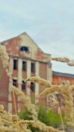 Sposati in un batter d'occhio episode 72