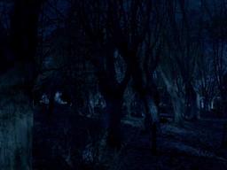 Amor Bandido episode 21