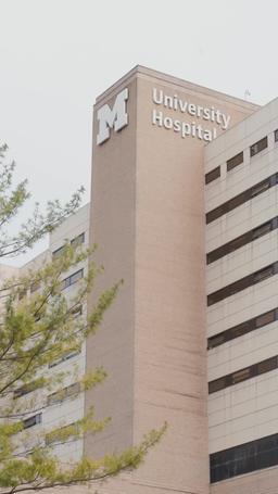 ¡La verdadera heredera nunca miente! episode 17