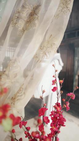 The General He Loved Was His Wife All Along episode 55