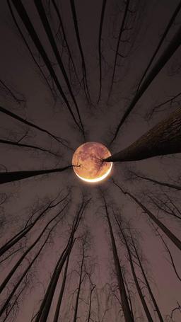 Blood contract episode 47