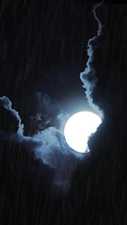 Cómo hice mío al Alfa episode 1