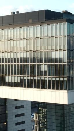 Acompanhando o médico bilionário implacável episode 29