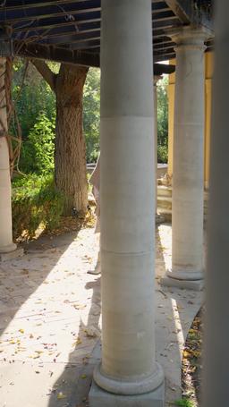 Diambil oleh Alpha yang Kubenci episode 9