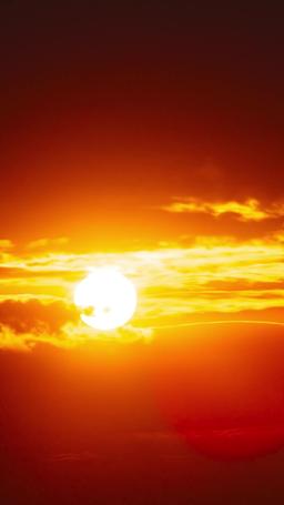 [吹き替え] 秘密を育てる家 episode 16