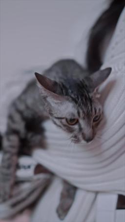 Love Turns Cold After Silence episode 4