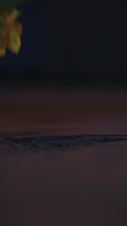 忘れえぬ人 episode 13