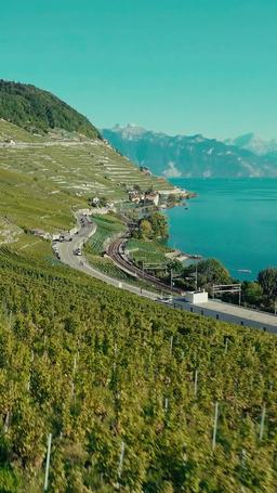 Per tutti i motivi sbagliati episode 18