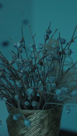 Blood contract episode 7