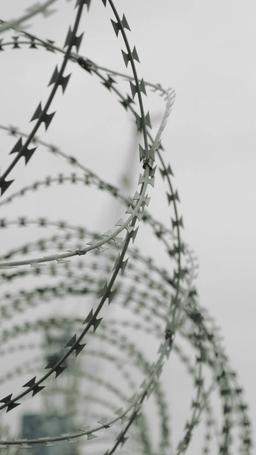 Das Doppelleben meines milliardenschweren Ehemannes episode 2