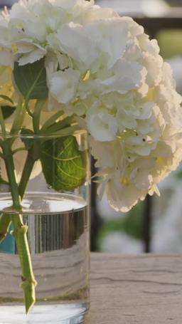 خطفت مليارديرًا  ليكون زوجي episode 30