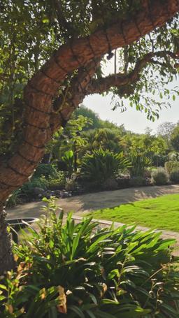 Atada al honor episode 49