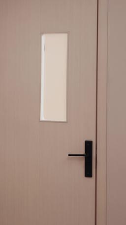 L'Ultimo Battito del Suo Cuore episode 13