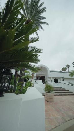 マフィアの花嫁 episode 12