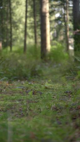 The Scent of My Fated Luna episode 28