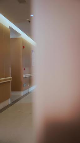 The Gynecologist’s Revenge episode 11