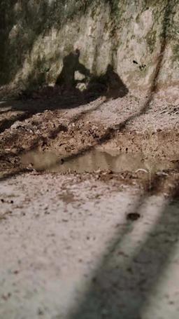 Kneel, Your Majesty! The Exiled One Returns episode 10