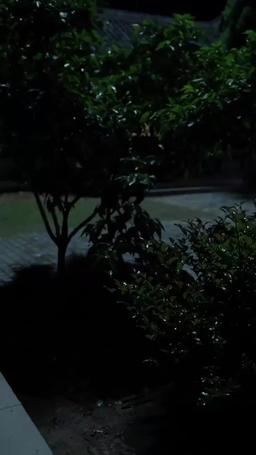 Transcendence: A New Realm episode 40