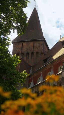 Zajęta przez Alfę – brata mojego byłego episode 1