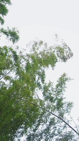 朕，如此多嬌 episode 8