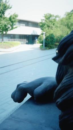 L’Amour Caché du PDG Milliardaire episode 2