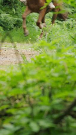 Tutkulu Aşkın  Sırrı: Generalın Eşi episode 14