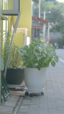 남주와 파혼하겠습니다 episode 67