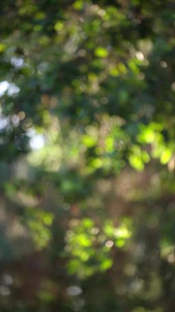 Mission Weihnachtszwilling episode 43