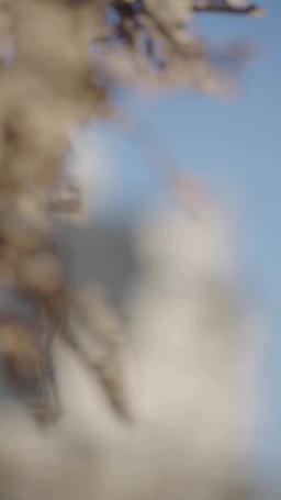 醜妻逆襲，顏值驚豔全球 episode 39