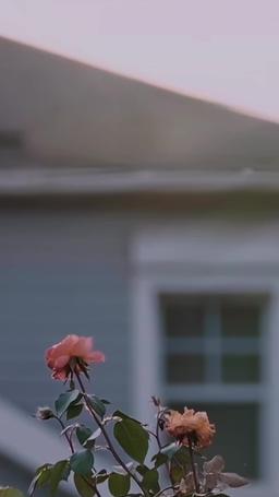 CEO아빠의 엄마 공략하기 episode 49