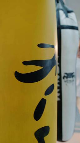 禁欲大佬撩寵小廠花 episode 40