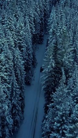 The Winter Veil episode 1