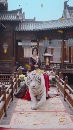 الجمال البري المُروّض episode 1