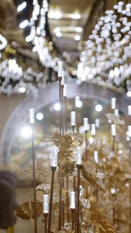 攤牌了，我是全球首富千金 episode 70