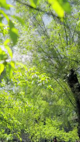 Survival Begins: I Own a System episode 37