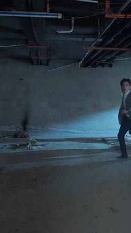 3 Ay Sonra, Vâris Geri Dönecek episode 30