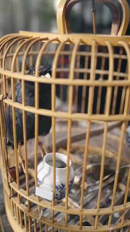 Survival Begins: I Own a System episode 43