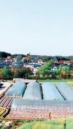 Feniks nie siada na spróchniałym drzewie episode 1