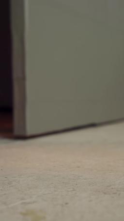 Die Frau des CEO ist ein knallharter Kerl episode 9