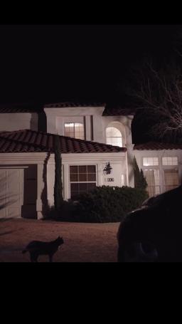 Banging Lanie episode 31