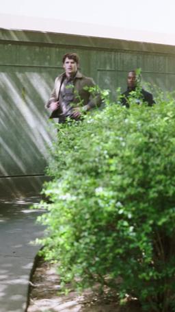 Mon Alpha du Hockey episode 42