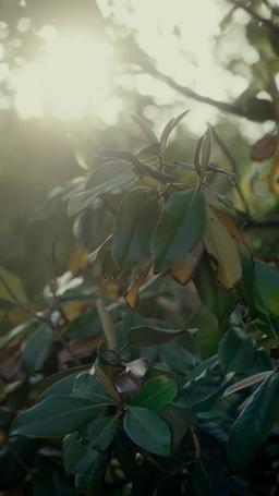 [Озвучка] Поцелуй меня в последний раз episode 90