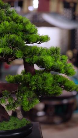 من الأمير الوريث المحتضر إلى ملك طويل العمر episode 59